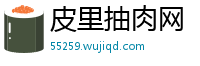 皮里抽肉网